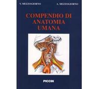 Compendio di anatomia umana