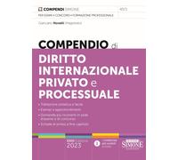 Compendio di Diritto Internazionale Privato e Processuale [Paperback] [Jun 27, 2