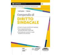 Compendio di diritto sindacale