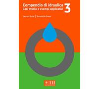 Compendio di idraulica. Casi studio e esempi applicativi (Vol. 3)