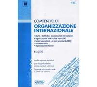 Compendio di organizzazione internazionale