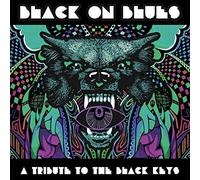 Various Artists Black On Blues: A Tribute to the Black Keys (Vinyl LP) 12" Album