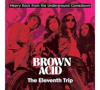 Various Artists Brown Acid: The Eleventh Trip (Vinyl LP) 12" Album