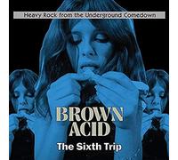 Various Artists Brown Acid: The Sixth Trip (CD) Album