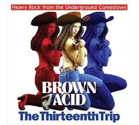 Compilation - Brown Acid The Thirteenth Trip