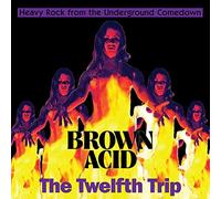 Various Artists Brown Acid: The Twelfth Trip (Vinyl LP) 12" Album
