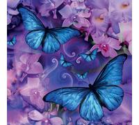 Compilation - Butterfly 1 (Cd Card)