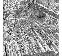 Compilation - Displaced Soundtracks