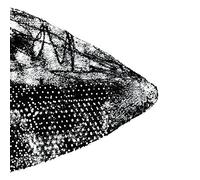 Compilation - For Christian H