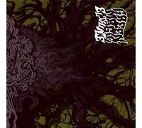 Compilation - Green Magic