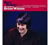Various Artists Here Today: The Songs of Brian Wilson (Vinyl LP) 12" Album