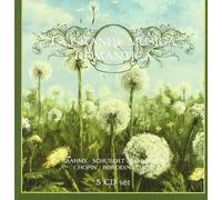 Compilation La Grande Musica Romantica (CD)