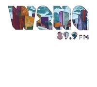 Various Artists - W2NG: 89.9fm [VINYL]