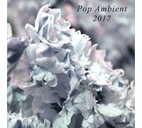 Compilation - Pop Ambient 2017