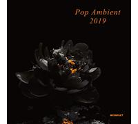 Compilation - Pop Ambient 2019