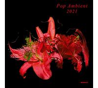 Compilation - Pop Ambient 2021