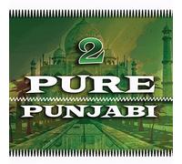 Compilation - Pure Punjabi 2