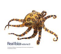 Compilation - Real Ibiza Vol.9