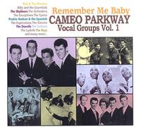 Compilation - Remember Me Baby - Cameo Parkway Vocal G