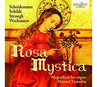 Compilation - Rosa Mystica Magnificat For Organ Schildt Strungk
