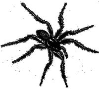 Compilation - Tarantismo Odyssey Of An Italian Ritual (Gatefold)