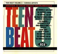 Various Artists Teen Beat 3 (CD) Album