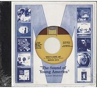 Various Artists 1971: The Sound of Young America (CD) Box Set