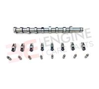 Completo Camme Kit Per Citroen Berlingo C3 C4 DS3 DS4 DS5 1.6 HDI 1.6HDI 8V DV6