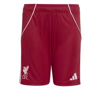 Completo Domicile bambino Liverpool FC 2025/26 Rouge 13/14 anni