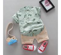 Completo estivo composto da camicia a maniche corte con colletto alla coreana e pantaloncini con stampa all-over di dinosauri per bambino/a 3Y,6-9M,9-12M,12-18M,18-24M,3-6M,0-3MAnimale,Fumetto,Lettere