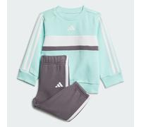 Completo Seasonal Essentials Tiberio 3-Stripes Fleece Crew Kids Semi Flash Aqua / White / Grey Strata 0-3M