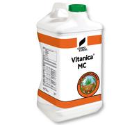 COMPO EXPERT Vitanica Mc 10 L Fertilizzante Liquido Grüns Abschlägen Fairways Sportpl