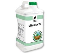 COMPO EXPERT Vitanica Si Concime per prato Concime per prato da golf Concime per