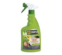COMPO Erbicida Totale HERBISTOP Pronto Uso Giardino PFnPO, Per Piante Ornamentali, Contro Infestanti, Muschi e Alghe, 1 l