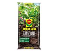 COMPO SANA Terriccio per Piante Verdi, Per Piante Verdi Ornamentali, Con Aggiunta di Argilla, Sacco 20 L
