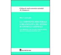 Componente immateriale e organizzativa