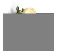 Componenti che consumano energia Turn Interruttori a parete Resistenza 50W 50 Ohm Cono regolabile Interruttori dimmer in ceramica Disco reostato