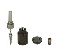 Componenti dell'iniettore Common Rail DELPHI 28429290