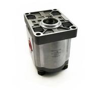 Componenti idraulici CBN CBN-E320 Pompa per olio ad alta pressione CBN-F320 Pompa a ingranaggi idraulica CBN-E325 Tipo di albero a codolo CBN-F325(CBN-E325-FBL)