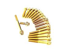 Componenti motociclette Viti Del Motore Carter In Acciaio Inossidabile Motociclo Set Di Bulloni Accessori Per HONDA RS150 R RS150R RS 150 Per WINNER150 Tutti Gli Anni(Gold)