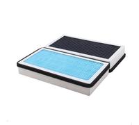 Componenti Tuta Filtro Aria Abitacolo A Carbone Attivo Per Auto 2 Pezzi Per Benz Per Classe ML Per Classe R Per L WX164 W166 W251
