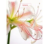 Composition Notebook College Ruled: LADY SPIDER FLOWERS | Journal For Back To School, Office, Work | Wide Lined