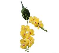 Composizione floreale estetica decorativa con dodici orchidee artificiali a farfalla, per tutti i tipi di occasioni o ambientazioni (giallo)