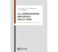 Composizione negoziata della crisi