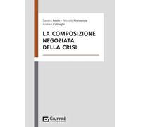 Composizione negoziata della crisi