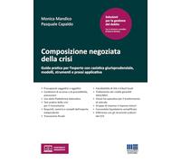 Composizione negoziata della crisi