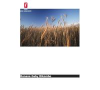 Compreender a insegurança alimentar doméstica dos comerciantes ambulantes em Durban