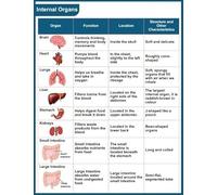 Comprehensive Internal Organs Anatomy Poster - Visual Guide to Human Body Systems for Medical Students - Durable Laminated Classroom Chart(Unframed,12x18inch(30x45cm))