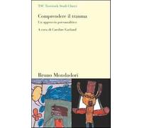 Comprendere il trauma. Un approccio psicoanalitico - AA.VV.