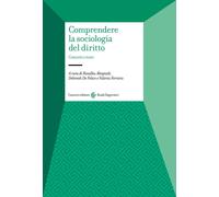 Comprendere la sociologia del diritto. Concetti e temi - Altopiedi (cur.)